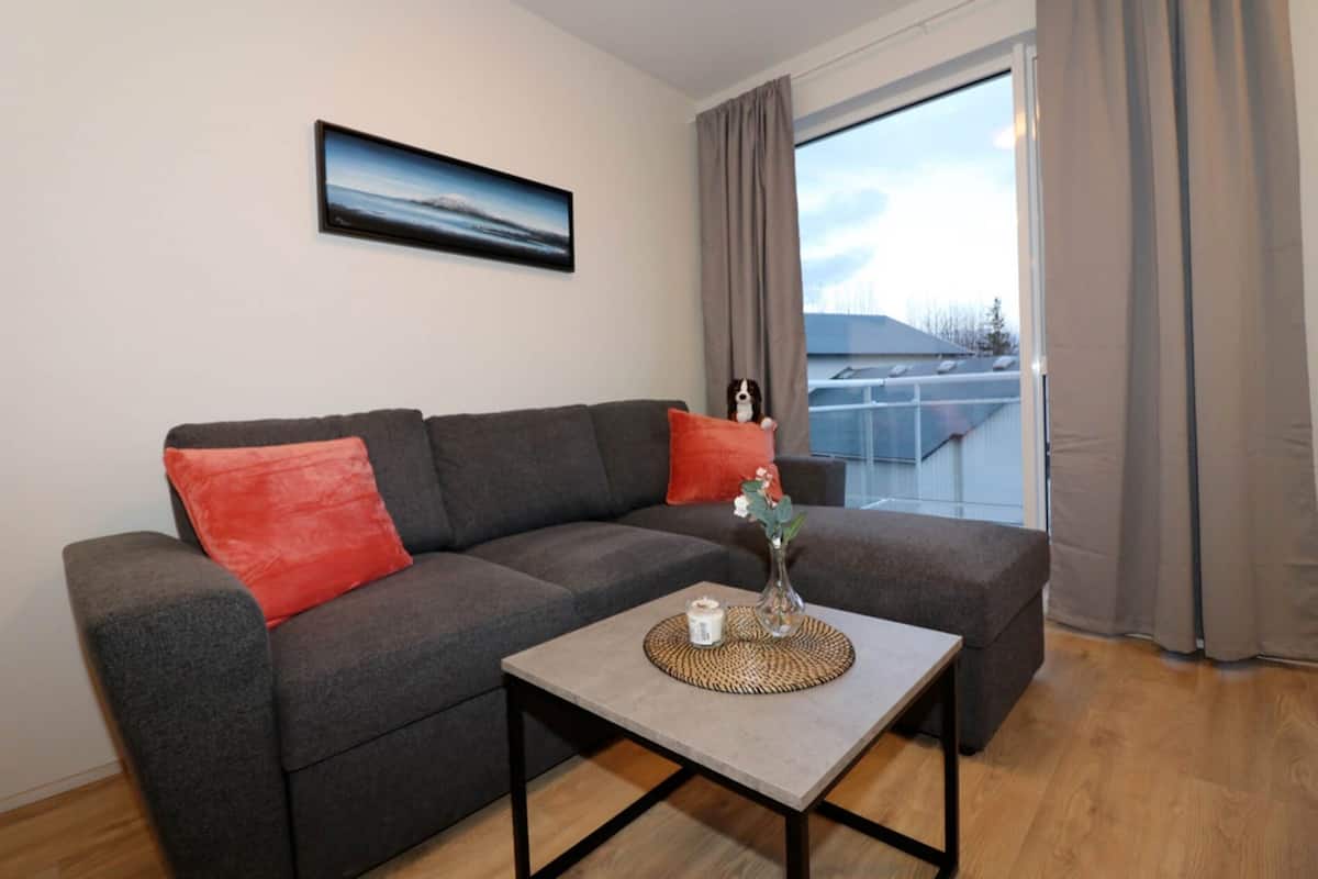 Apartment, 1 Bedroom (Street view) | Hypo-allergenic bedding available, desk, laptop workspace