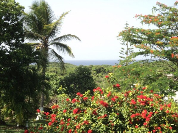 Property grounds - Villa ‘‘ Sapotille ’’ calm all comfort wonderful setting at Le Moule (Le Moule)