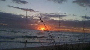 A sunset over the ocean with waves and grasses in the foreground. - Walk to the Beach at Nettles Island 4 bed/2 bath sleeps 8 (Jensen Beach)