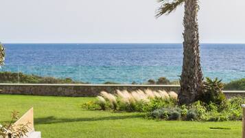 Chambre Exécutive, piscine privée | Piscine | Piscine couverte, piscine extérieure, chaises longues