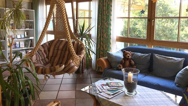 Una sala de estar acogedora con un sillón colgante, un sofá azul y una estantería.