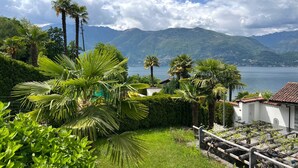 A lush garden with palm trees, a white building with a red roof, and a mountain backdrop. - Casa Esmeralda GIOIA - 2-room apartment, approx. 45 m², with small balcony (Gambarogno)