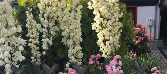 Gesindehaus Börnecke