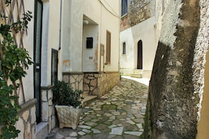 Exterior detail - apartment in the historic center (Pulcherini)
