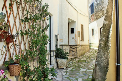 apartment in the historic center