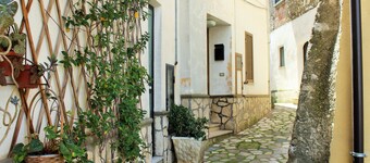 apartment in the historic center