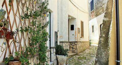 apartment in the historic center