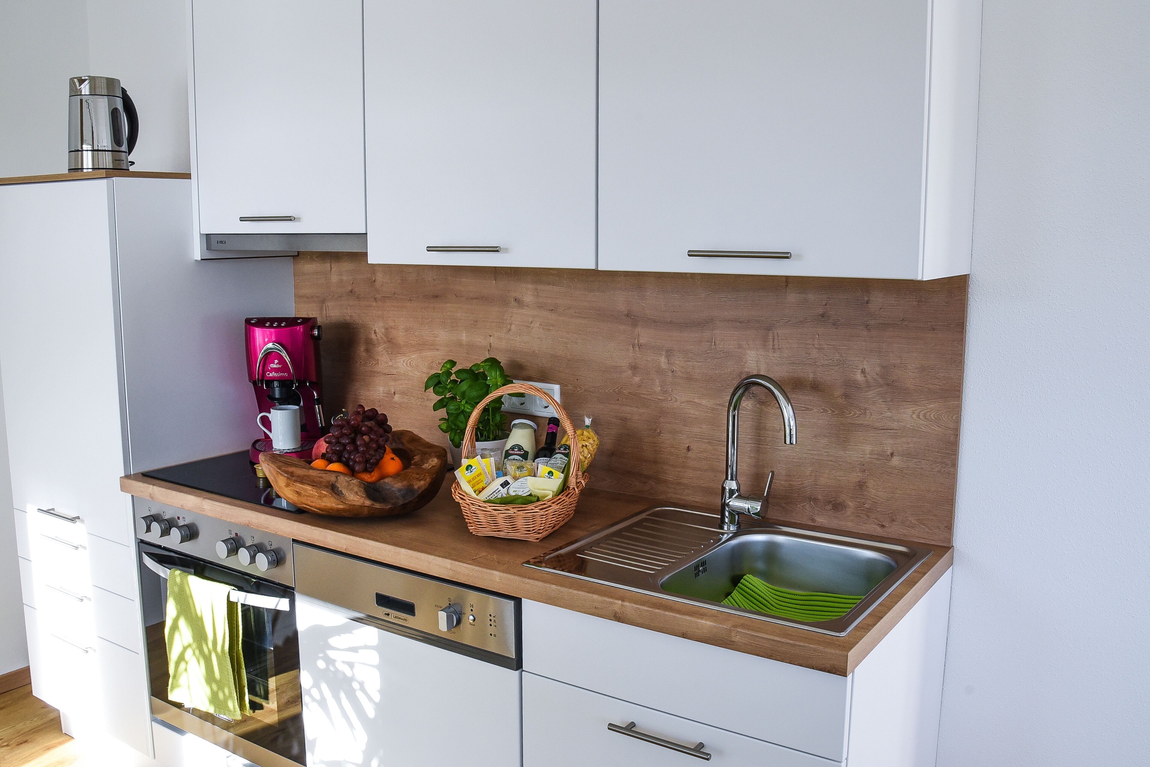 Kühlschrank, Ofen, Herdplatte, Geschirrspüler