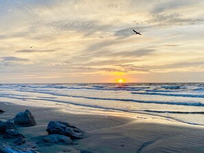 On the beach, sun-loungers, beach towels