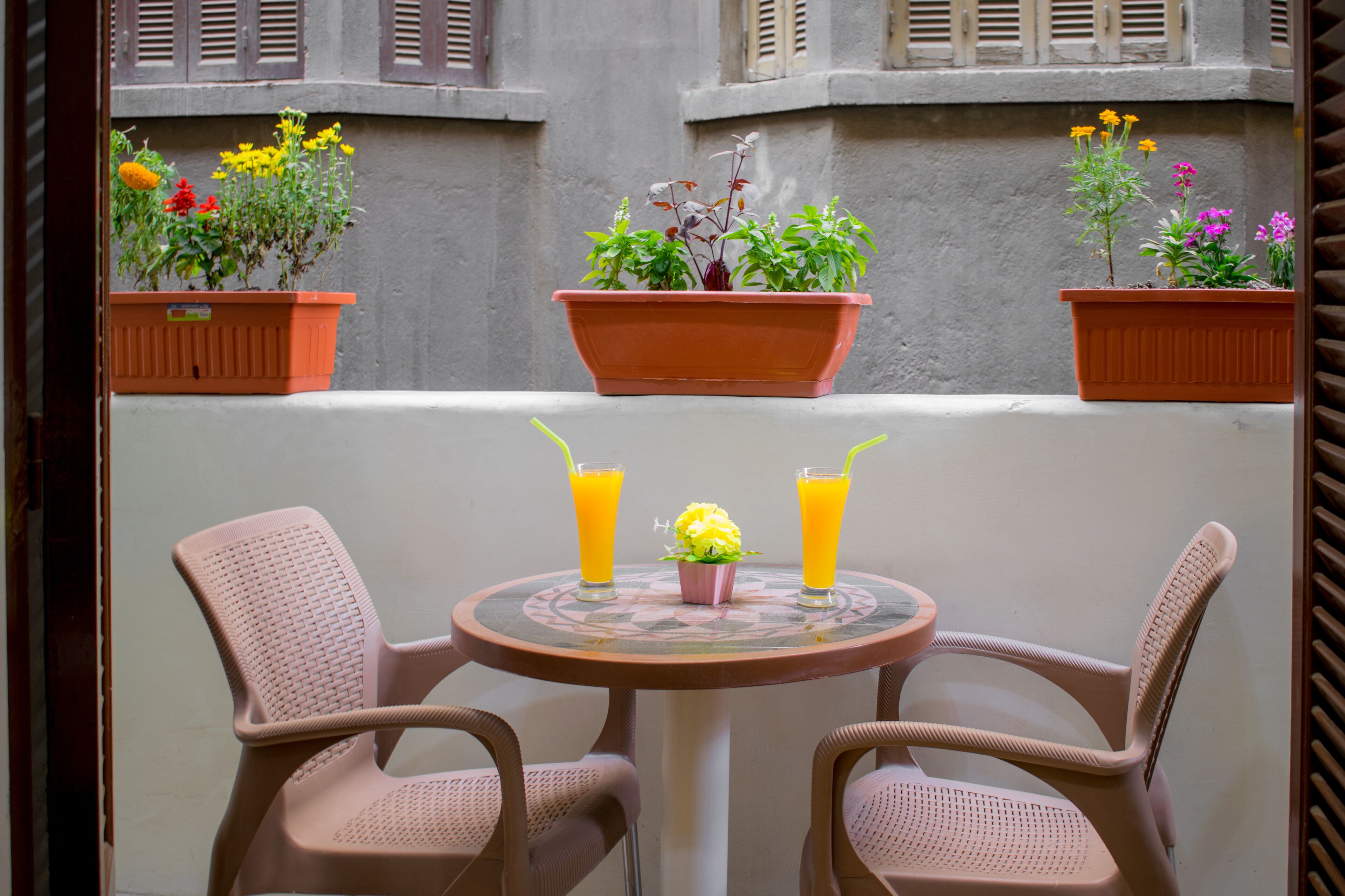 Photo - Golden Palace Hotel