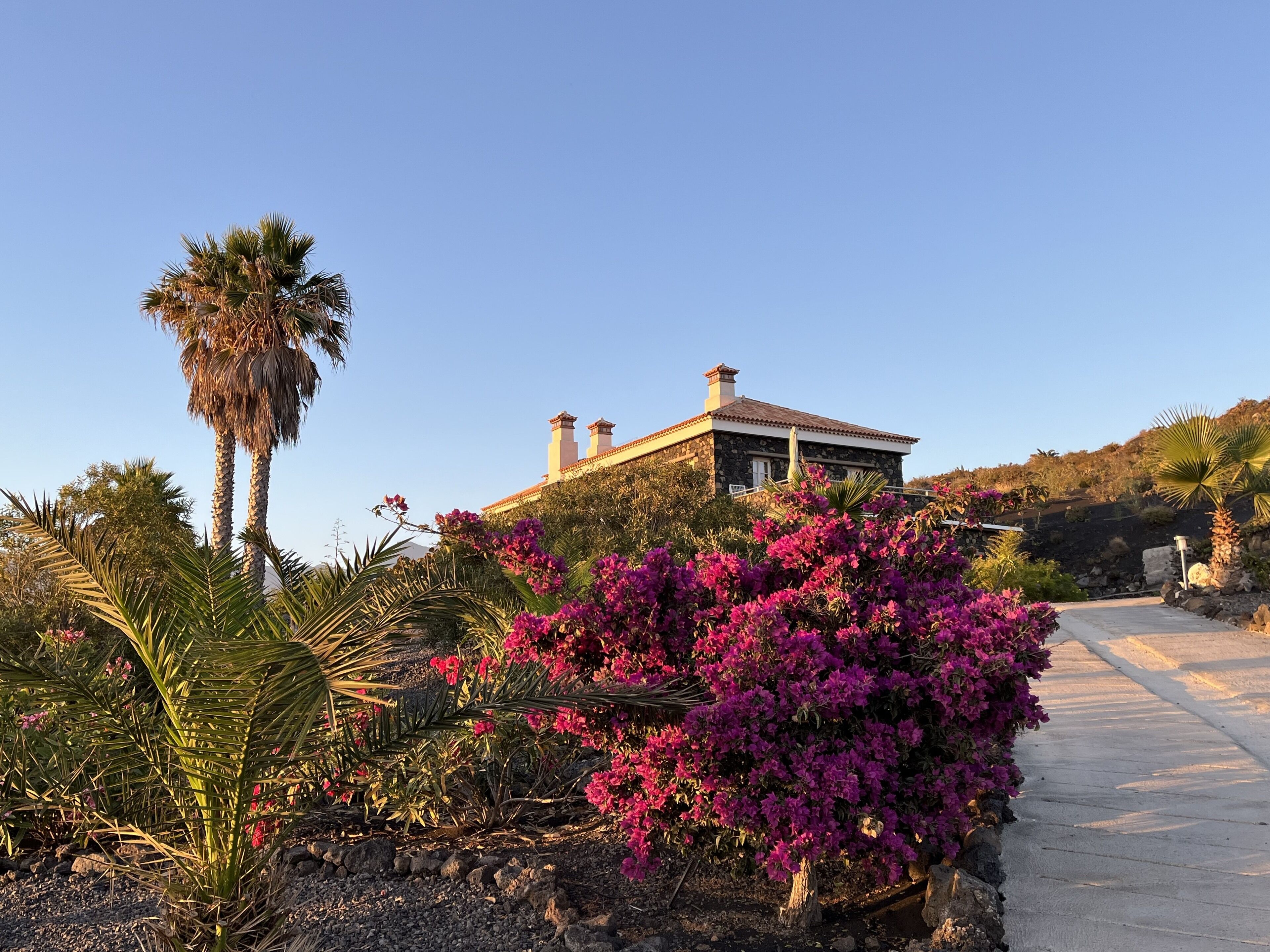 Una casa de piedra con techo de tejas, rodeada de exuberante follaje y vibrantes flores de buganvilla rosadas.