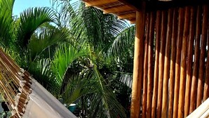 A hammock under a thatched roof, surrounded by lush greenery.