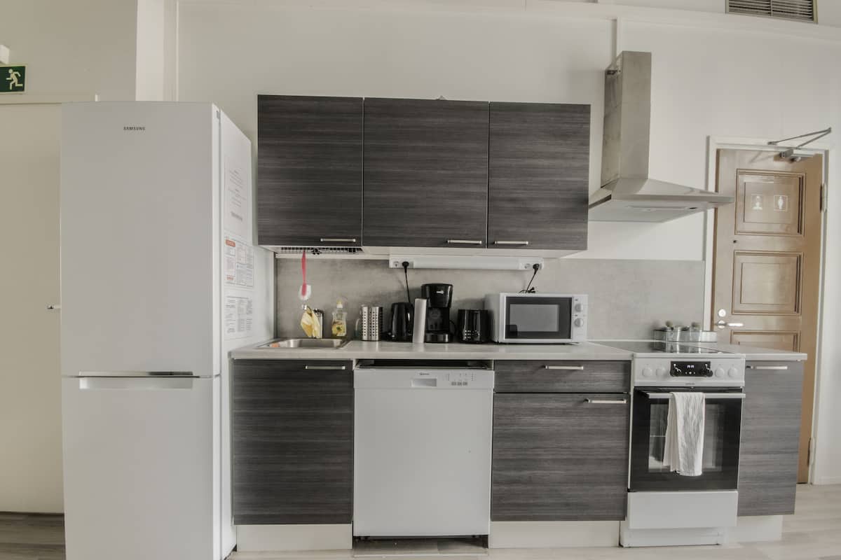 business apartment, 2 bedrooms | private kitchen | fridge, microwave, coffee/tea maker, electric kettle