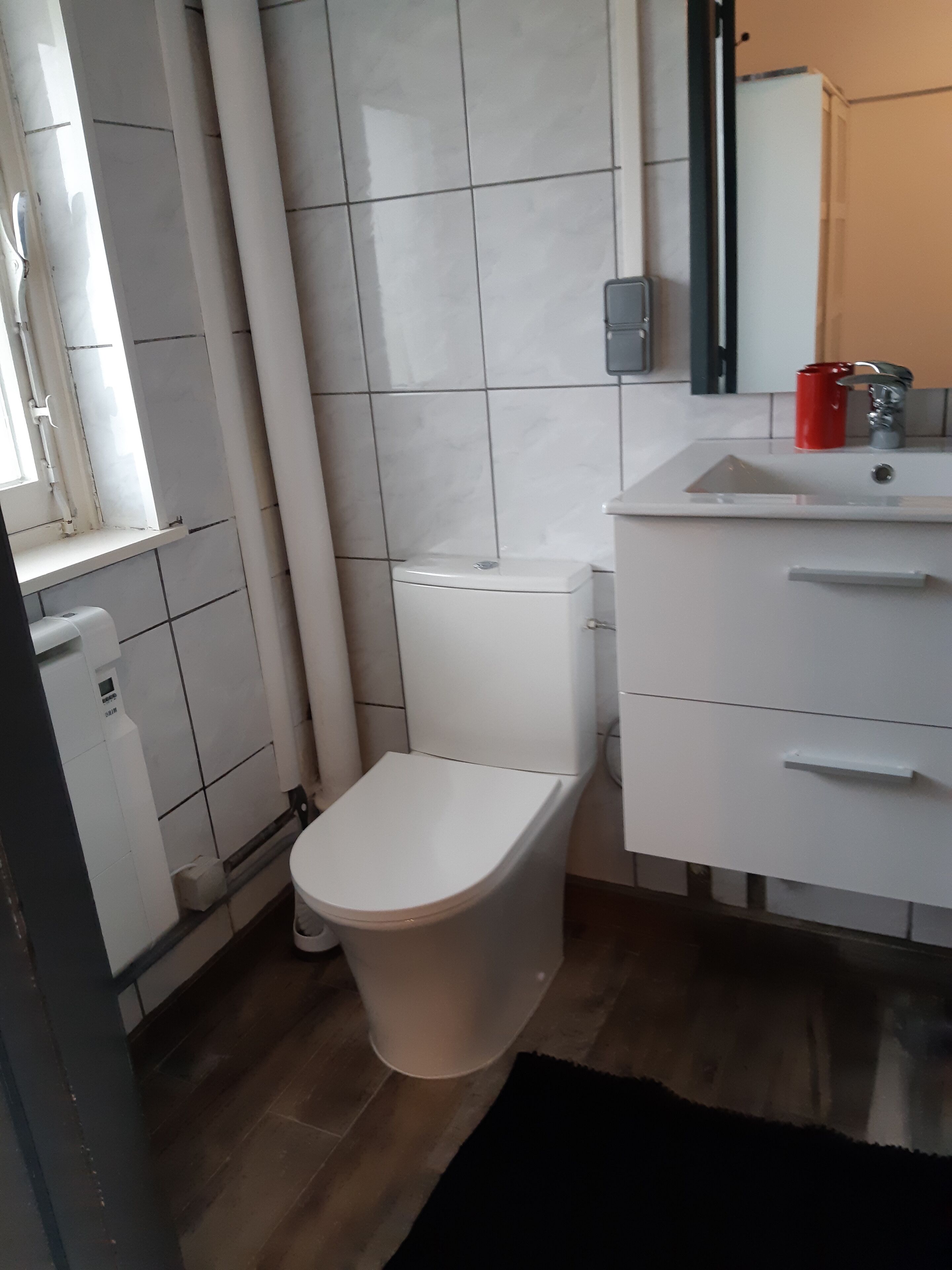 Een badkamer met een toilet, een wastafel en een spiegel.