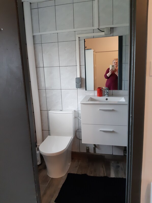 A bathroom with a toilet, sink, and mirror.