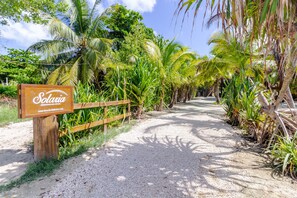 Property grounds - Solaria Villas (San Pedro)