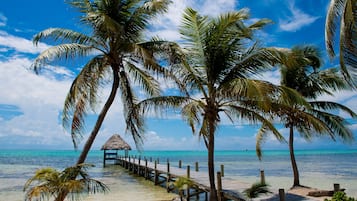 Dock