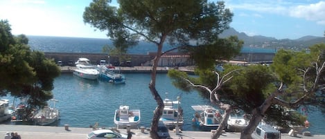 Marina/club náutico