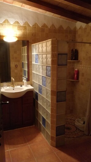 Douche, séchoir à cheveux, serviettes fournies, savon