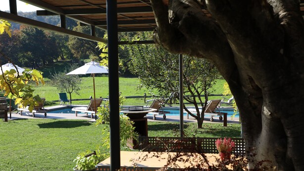 A covered outdoor area with a pool, lounge chairs, and potted plants. - LA COMMISSERIA Beautiful new house with private pool surrounded by nature (Salò)