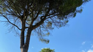 Property grounds - LA COMMISSERIA Beautiful new house with private pool surrounded by nature (Salò)