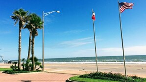 Une plage bordée de palmiers, un mât sur lequel flotte le drapeau américain, et un ciel bleu azur.