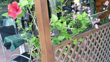 Een houten pergola met klimplanten en bloemen, een tafel met een groen geruit tafelkleed en een stoel.