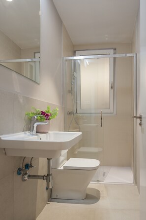 Shower, hair dryer, towels