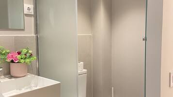 Ducha, secador de pelo y toallas