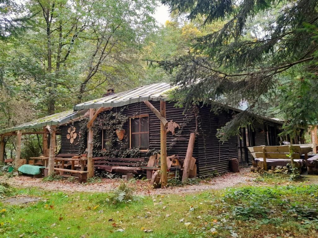 Ferienhaus Das wilde Auwaldhaus