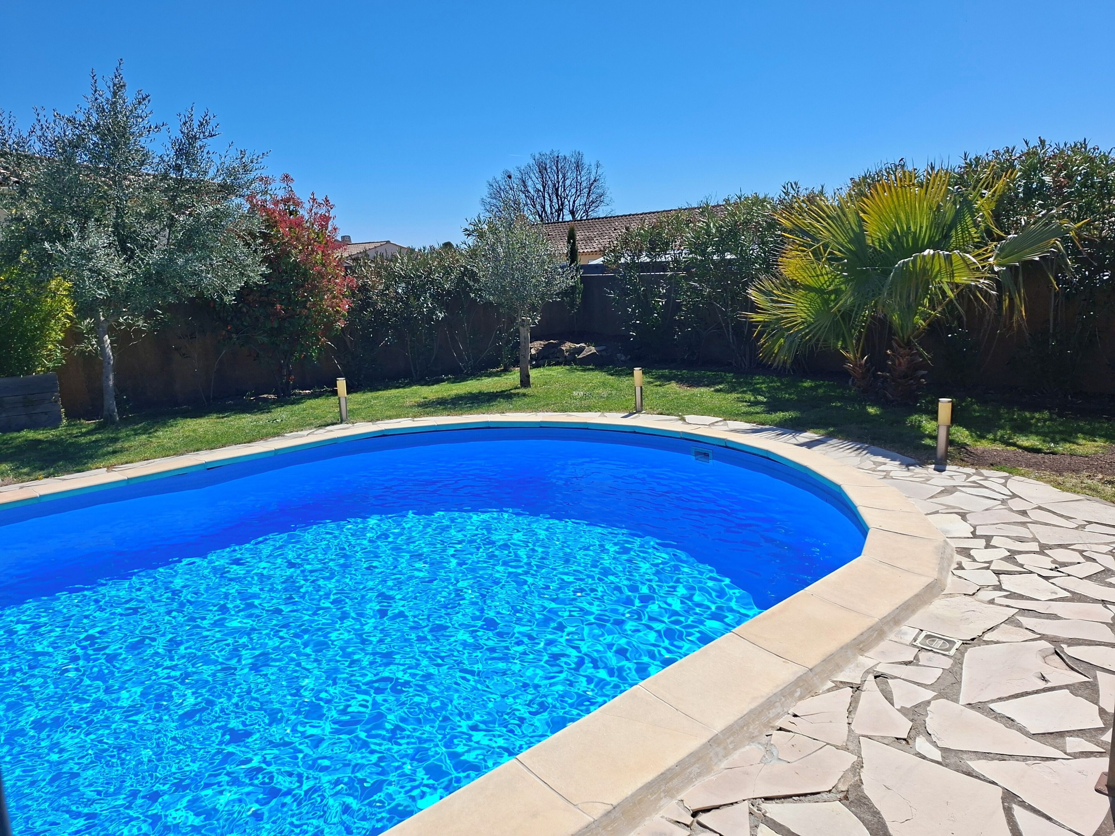 Une piscine rectangulaire à l’eau d’un bleu limpide, entourée d’une terrasse en pierre et de divers arbres.