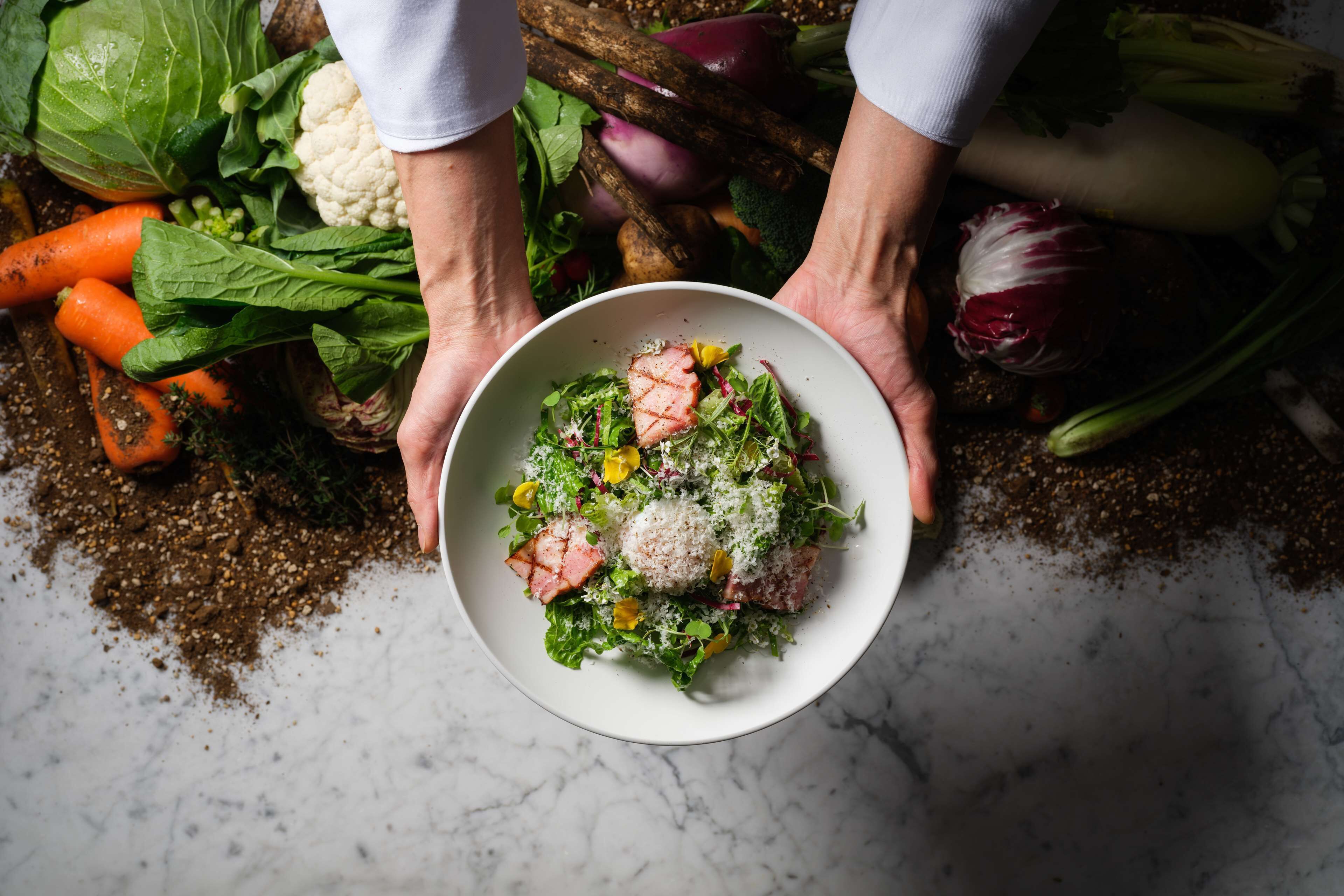 Een saladekom met verschillende groenten en een stukje vlees, vastgehouden door twee handen.