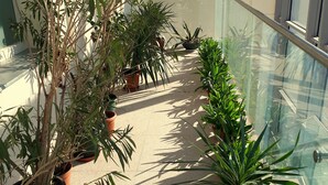 A sunlit balcony with potted plants and a glass railing. - Kasztanowy Pałac (Tarnowo Podgorne)