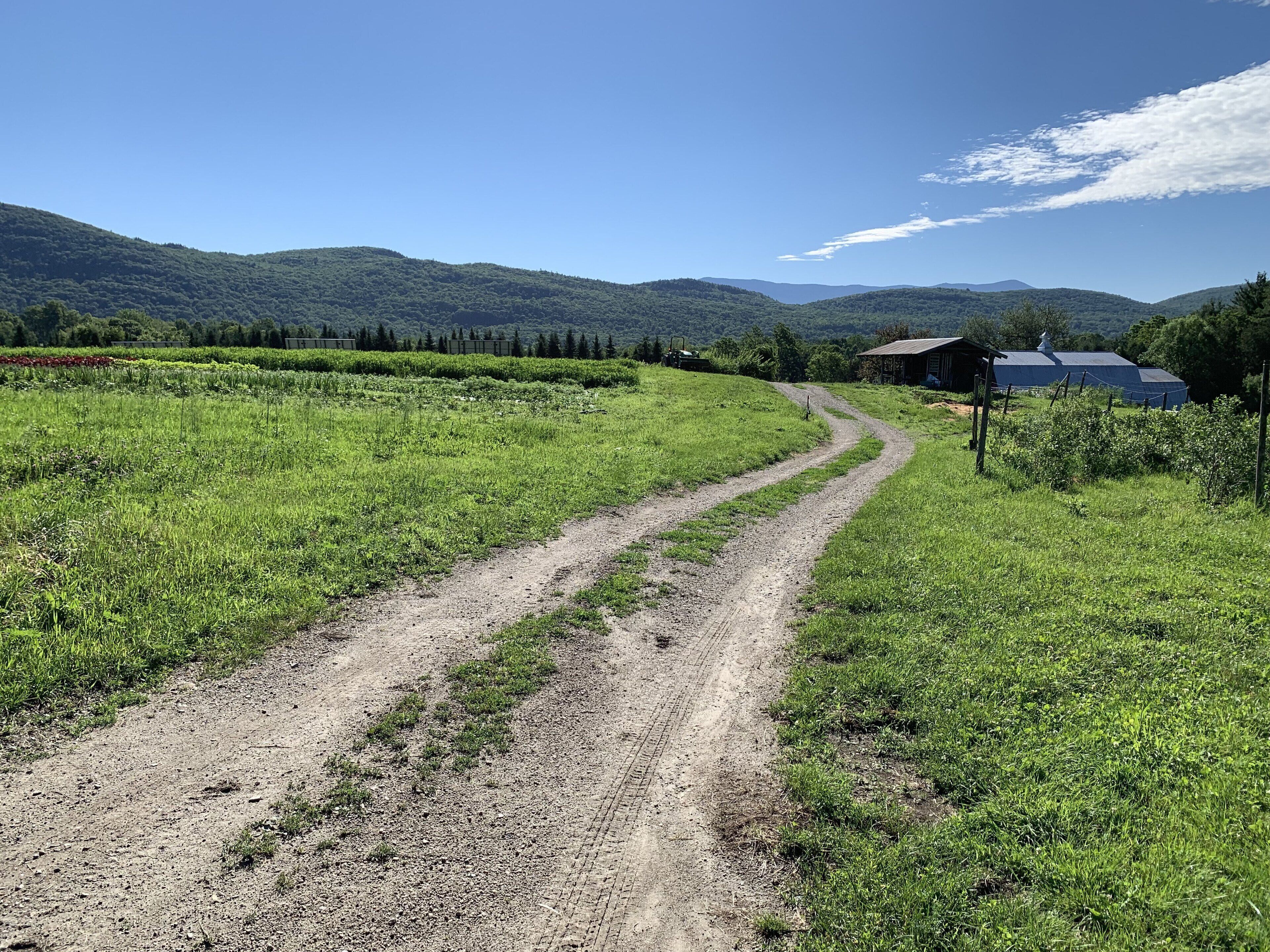 Ländliche Landschaft mit einem Schotterweg, der zu einem von Grünflächen und Hügeln umgebenen Haus führt.