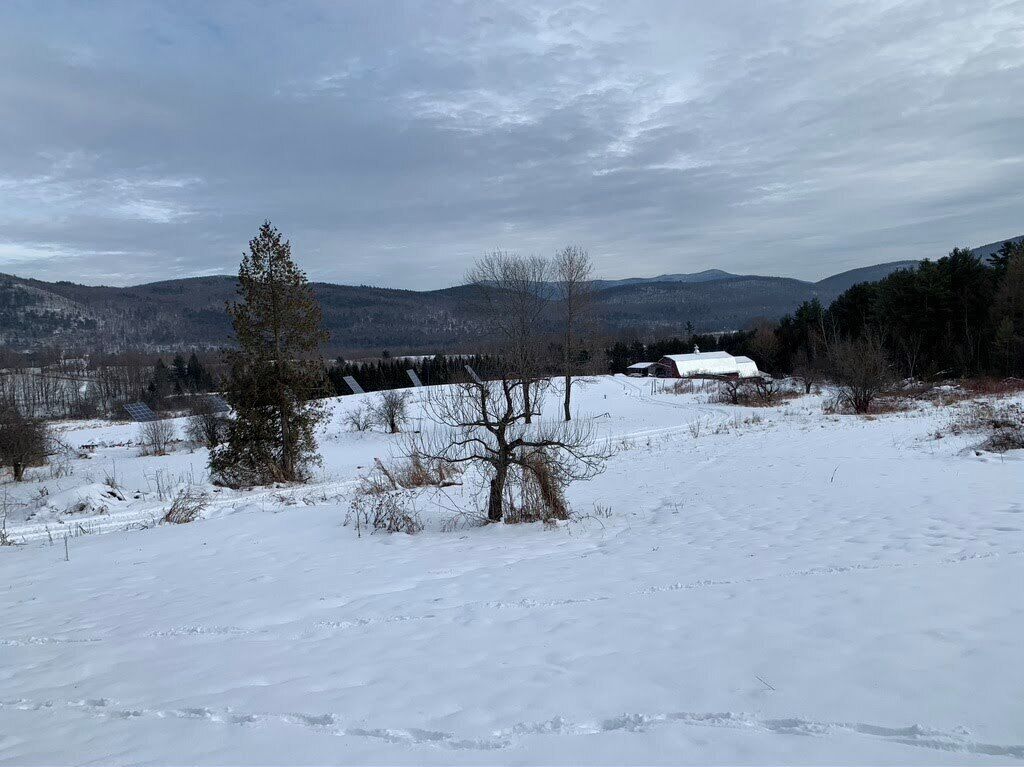 Een besneeerd landschap met een heldere lucht, enkele bomen en verre bergen.