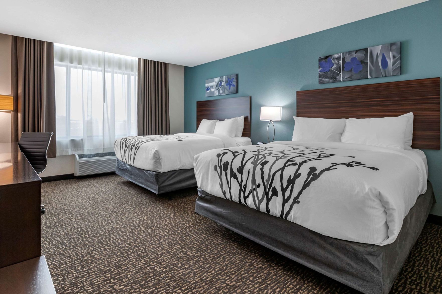 Desk, free WiFi, bed sheets