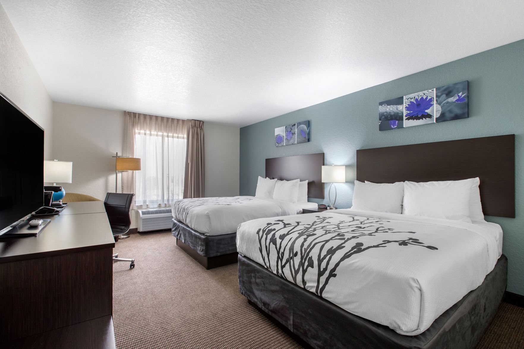 Desk, free WiFi, bed sheets
