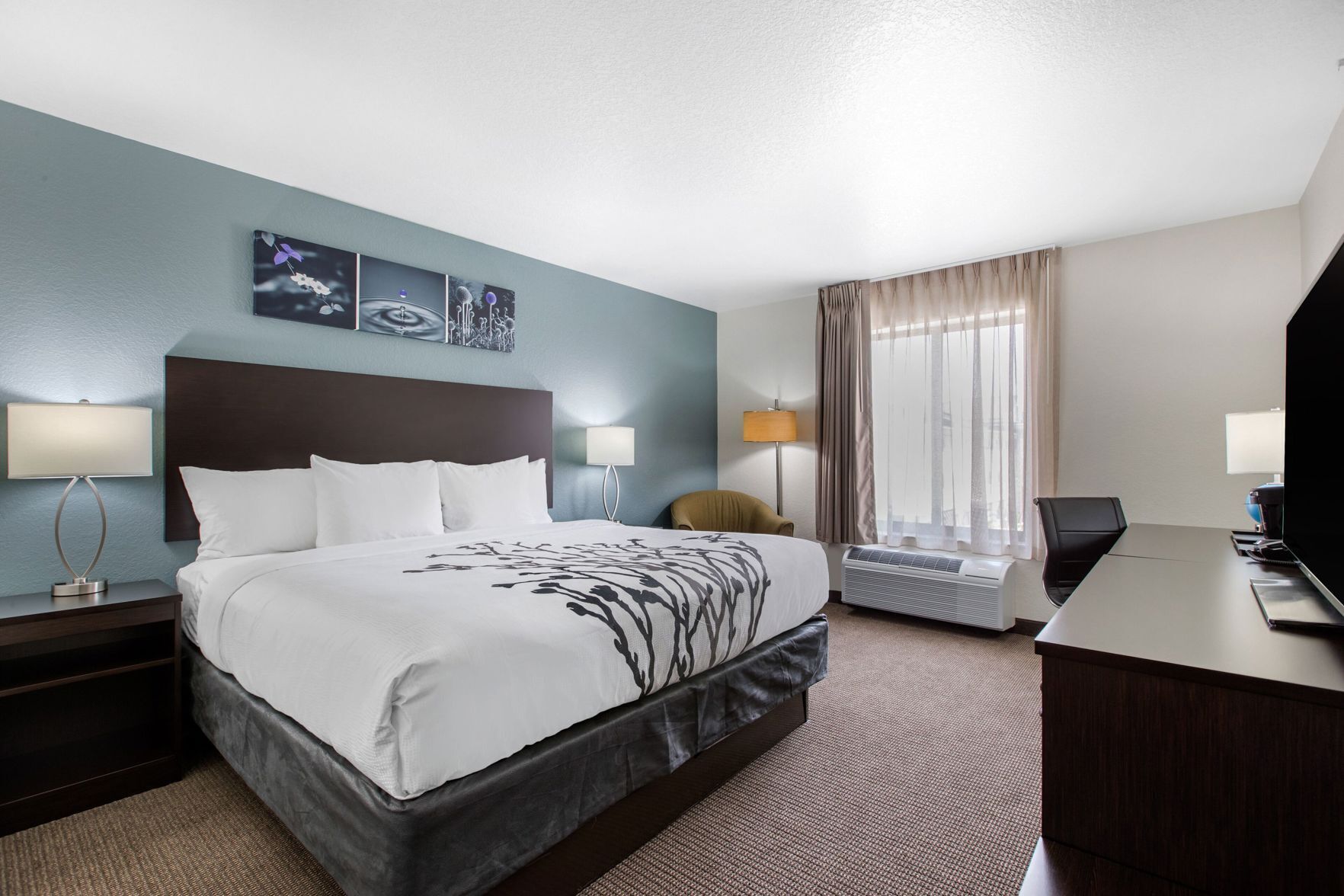 Desk, free WiFi, bed sheets