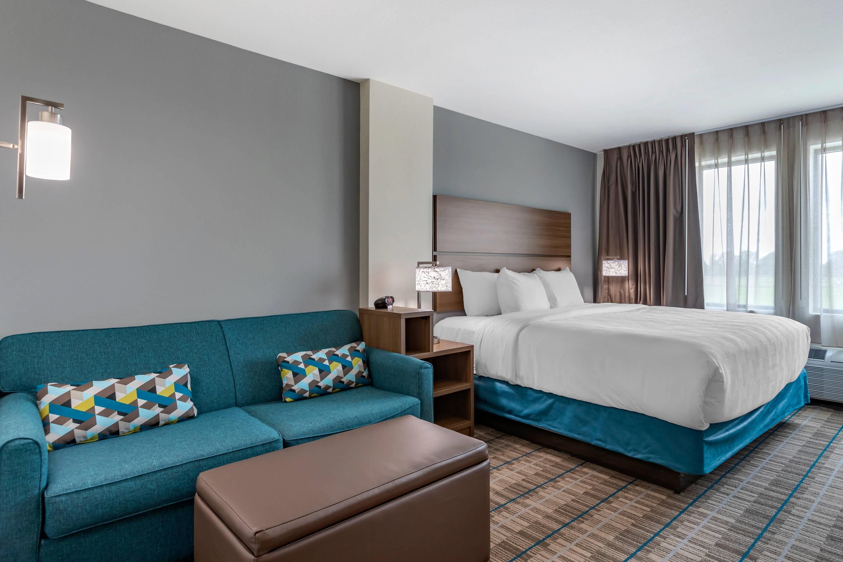 A hotel room with a bed, a sofa, a nightstand, and a lamp.