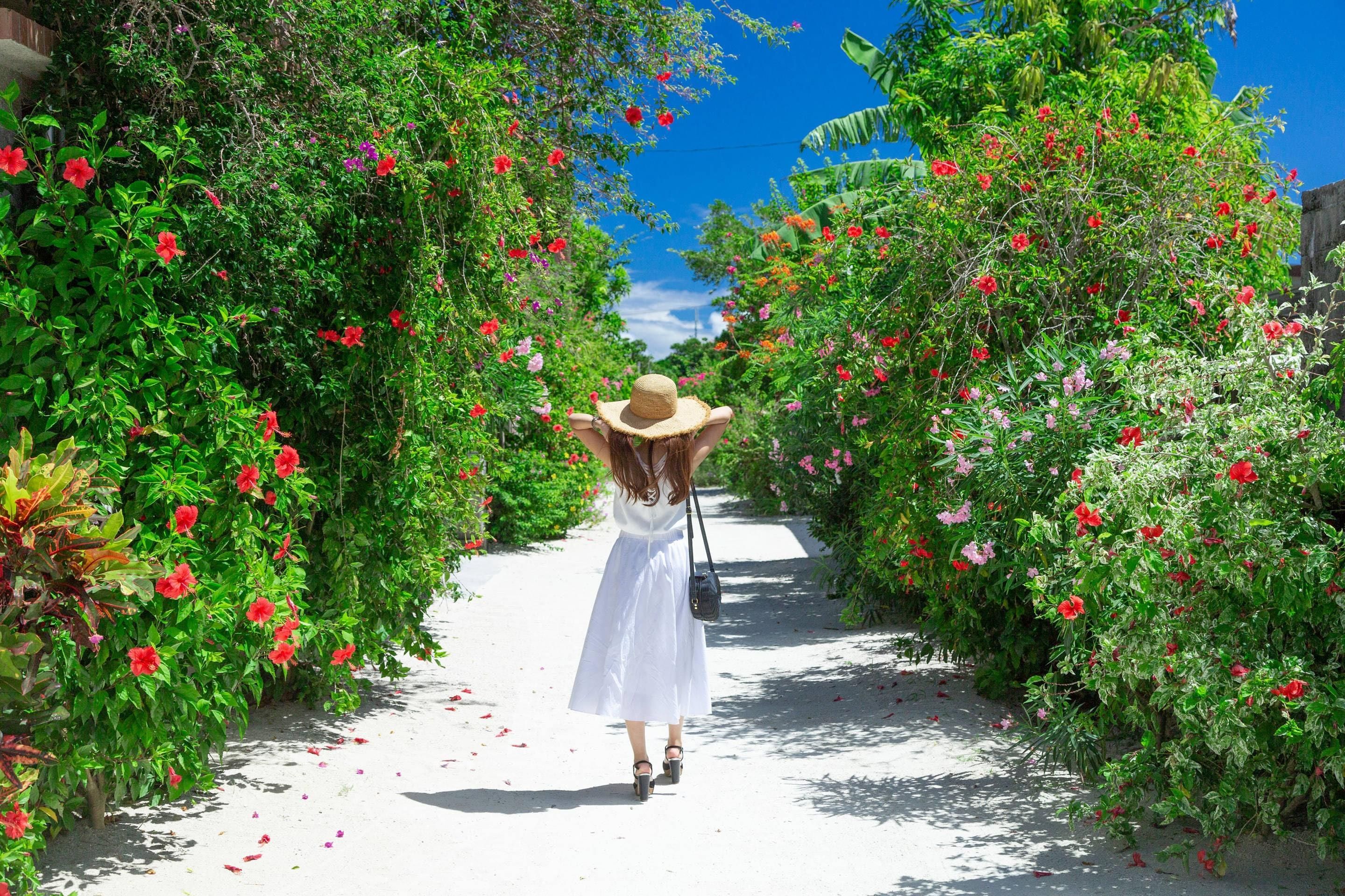 A pathway flanked by lush greenery and vibrant flowers, leading to a building.