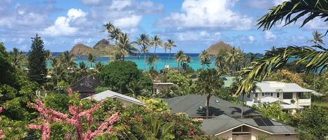 A tropical residential area with houses, palm trees, and a view of the ocean.
