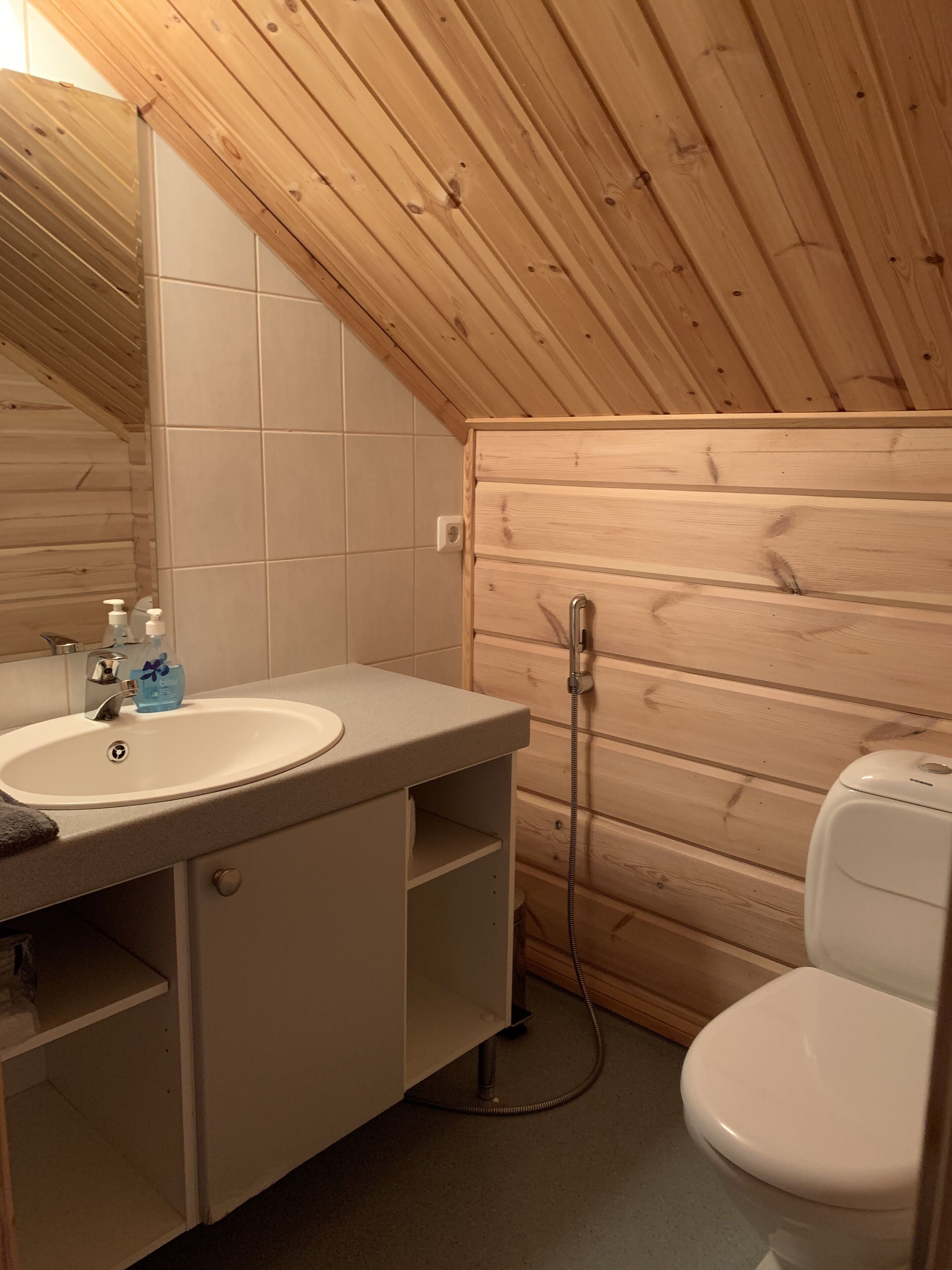 A small, compact bathroom with a wooden ceiling, a white sink with a mirror, a toilet, and a shower.