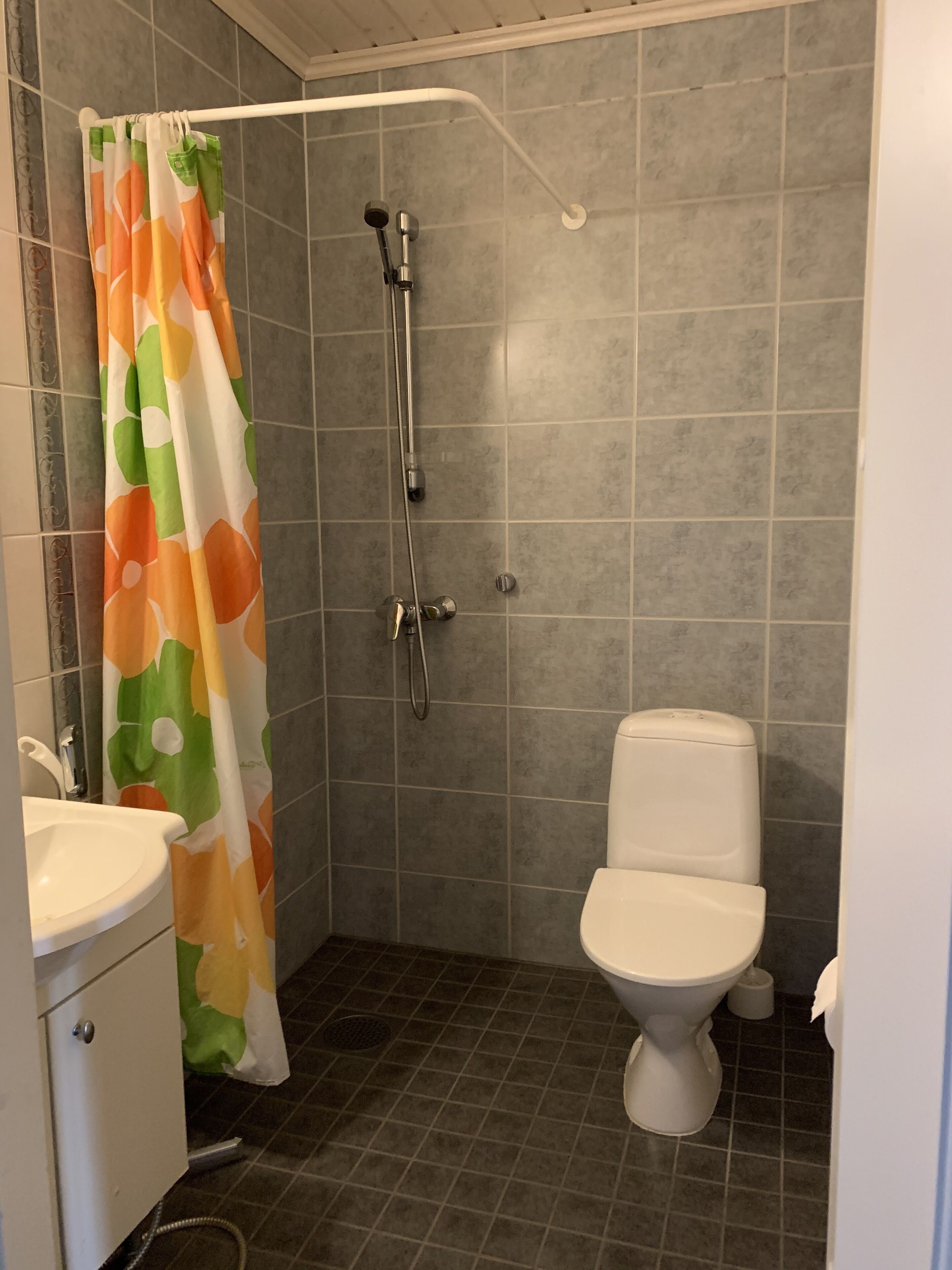 Une salle de bain avec douche, toilettes et lavabo.