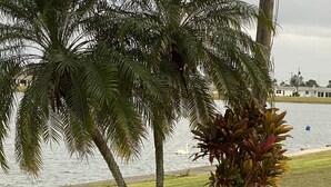 A waterfront property with a palm tree and a plant in the foreground, a body of water, and a grassy area. - Swan Lake House in Sun City Center with 60' Screened Lanai (Sun City Center)