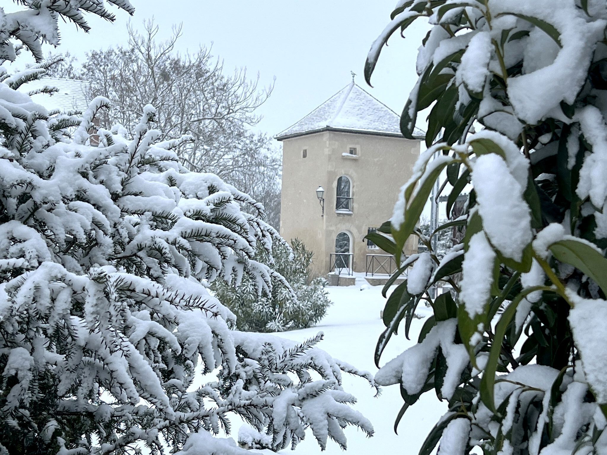 Cottage Romantique, vue jardin (Le Pigeonnier de Gondière) | Extérieur
