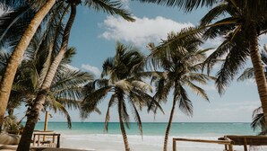 A beach with palm trees and a wooden bench. - Zorba Tulum Beach Homes (Tulum)