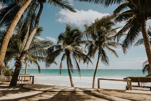 View from property - Zorba Tulum Beach Homes (Tulum)
