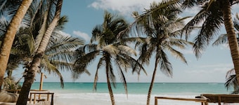 Zorba Tulum Beach Homes