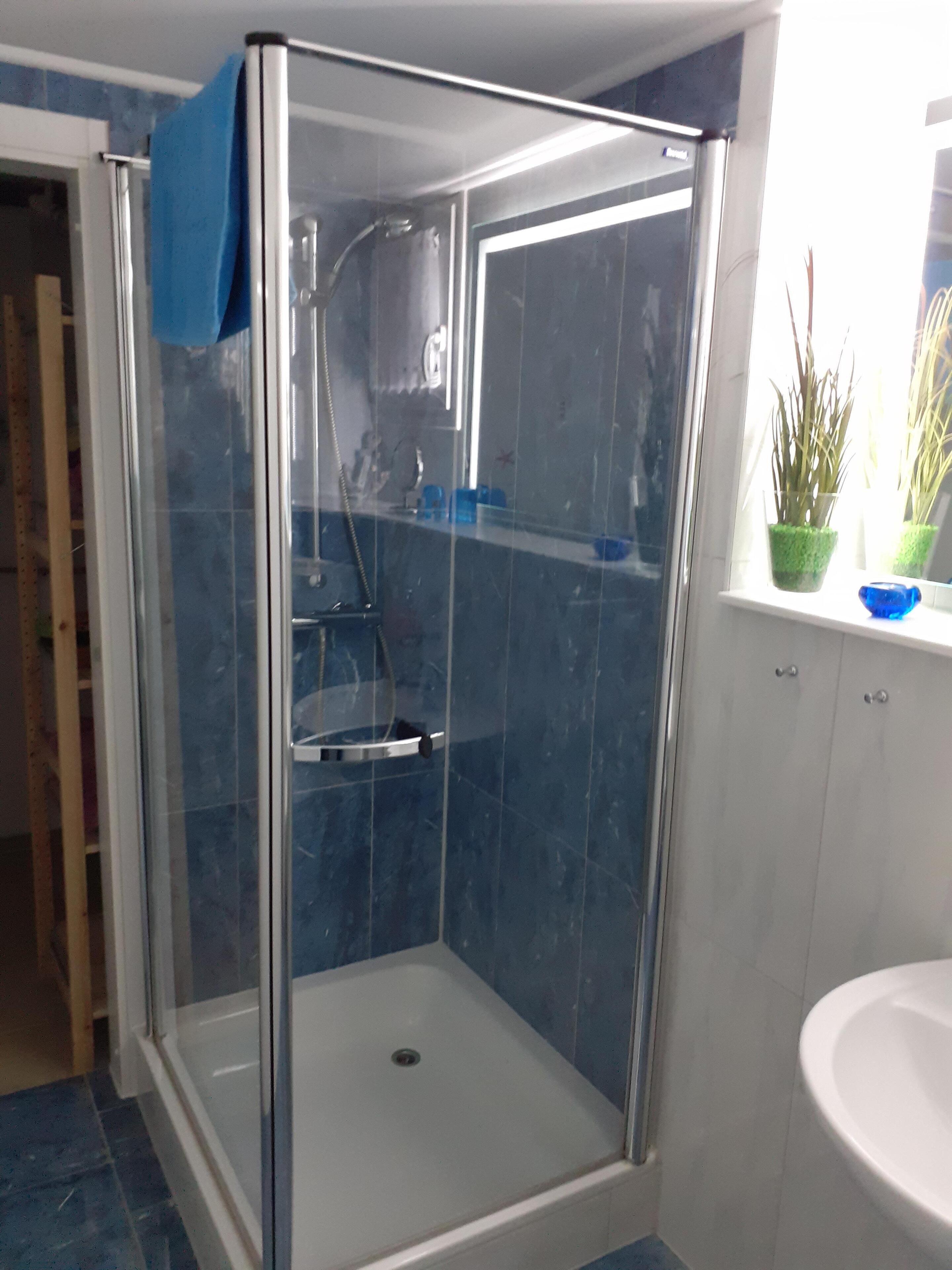 A glass-enclosed shower with a white sink and a window with plants.
