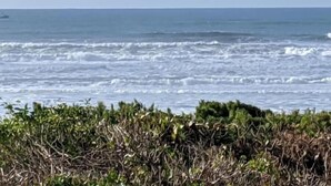 Beach nearby - Pacific Pearl at Heceta Beach  - dog friendly (Florence)